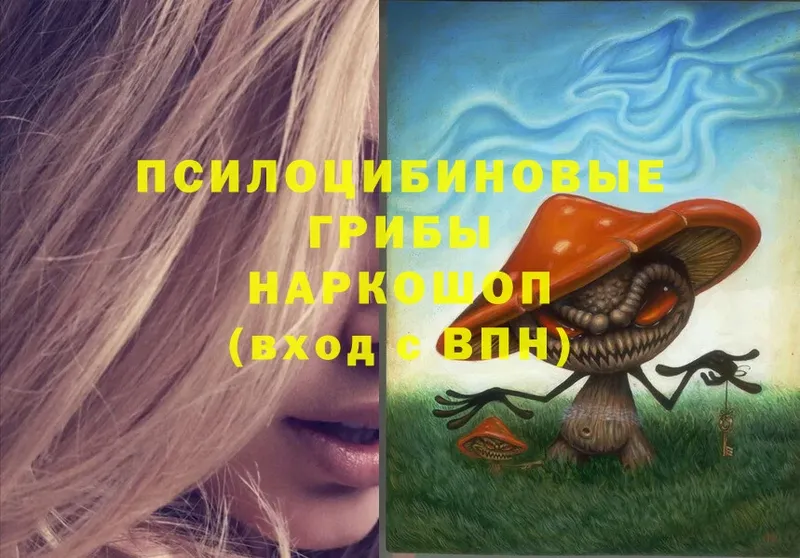 Галлюциногенные грибы Psilocybe  Калтан 